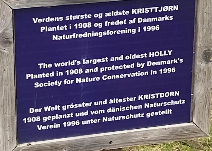 Adelgadehuset