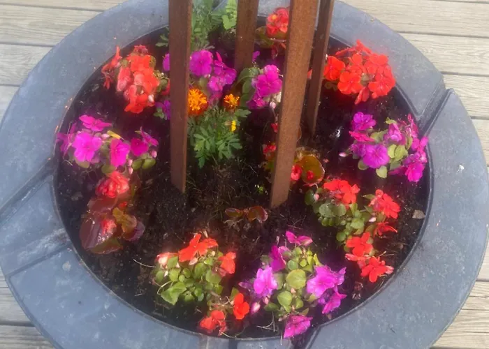 Aparthotel Adelgadehuset Bogense